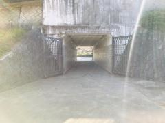 芹が谷公園