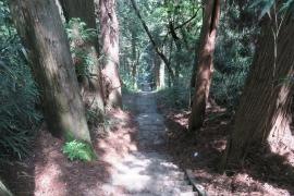 新府城跡