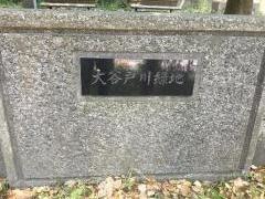大谷戸川緑地