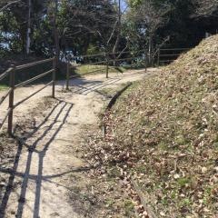 弥生公園