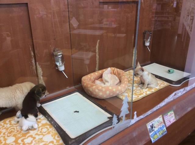 施設写真15