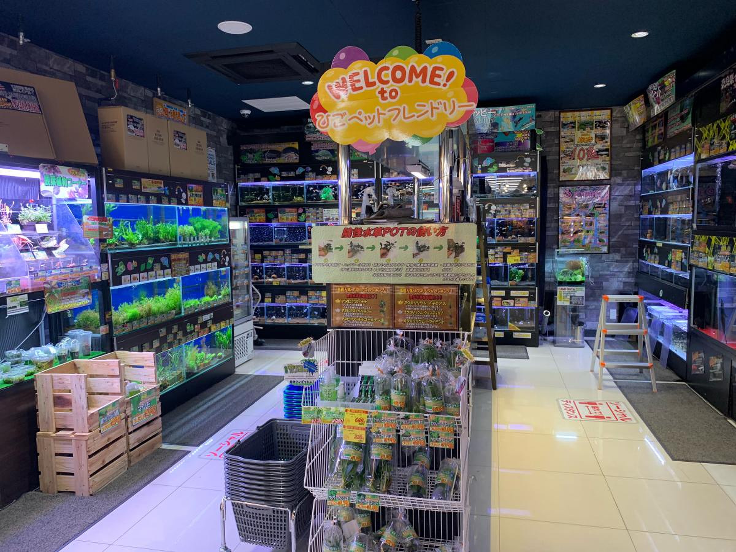ひご ペット フレンドリー 田原本 店