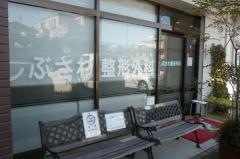 しぶさわ整形外科