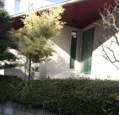 たかさと歯科医院