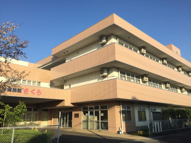 さくら