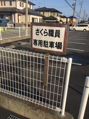 さくら