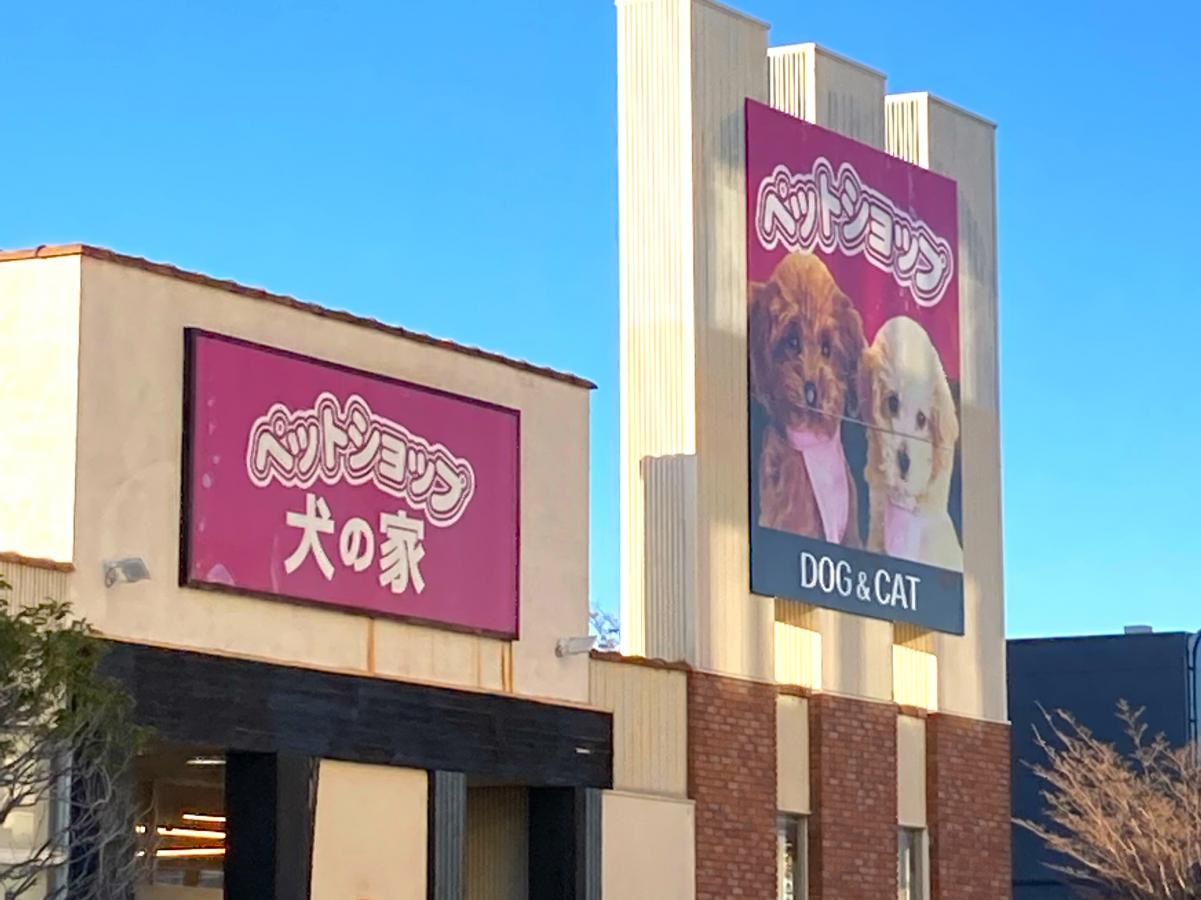 犬の家
