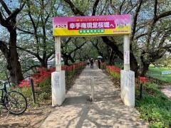 権現堂堤