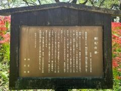 権現堂堤
