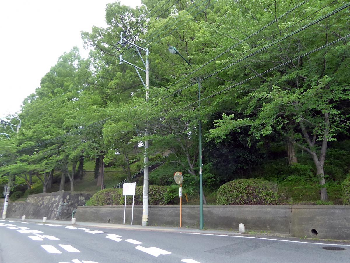 全景