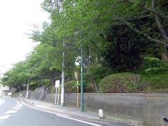 枝光公園