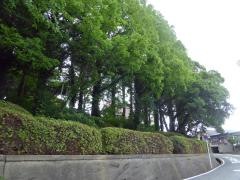 枝光公園