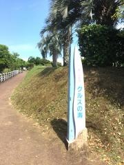願いが叶うクルスの海