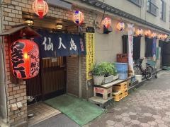仙人鳥