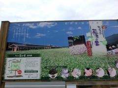 ちちぶ花見の里