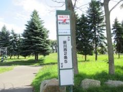 「新川西２条６丁目」バス停留所