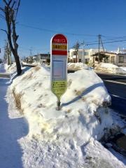 「３番通５丁目」バス停留所