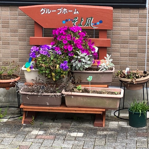 ケアセンターそよ風