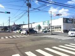 Ｓｅｒｉａ　大在店