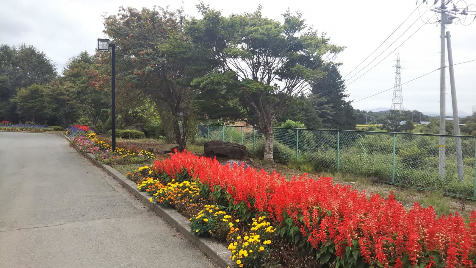 花壇。