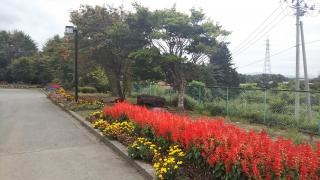 滝沢東小学校
