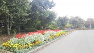 滝沢東小学校