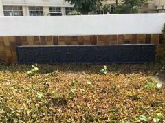 天沼小学校