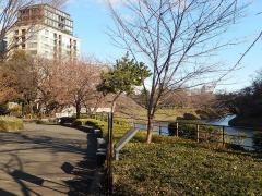 千鳥ヶ淵