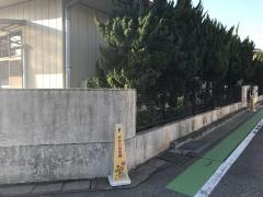 坂井保育園