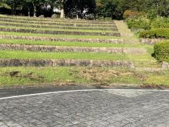 敷根公園