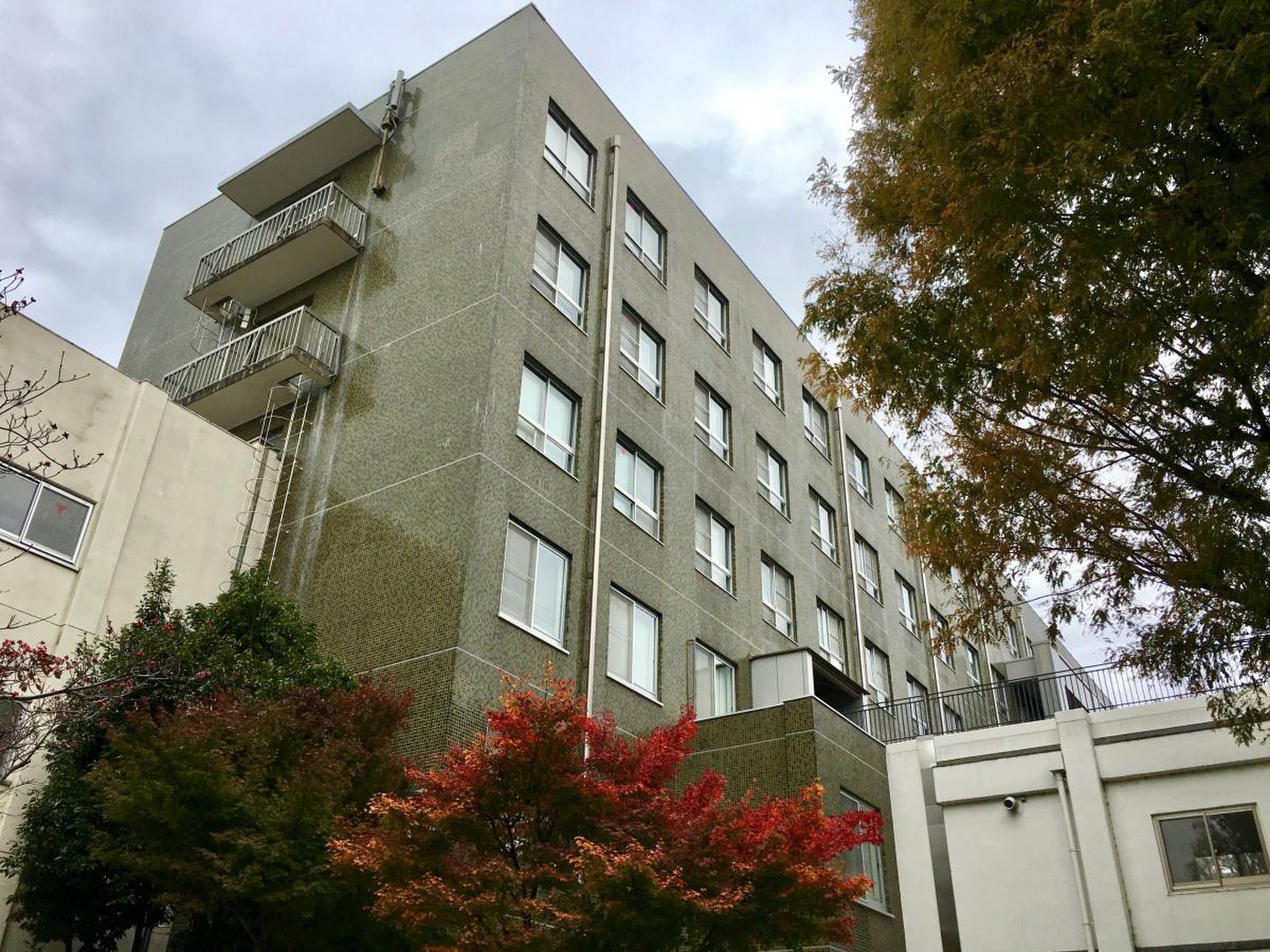 滋賀 大学 彦根 キャンパス