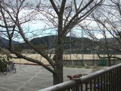 青山小学校