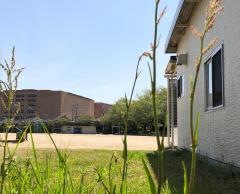 桜丘北小学校