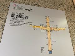 シャレオ