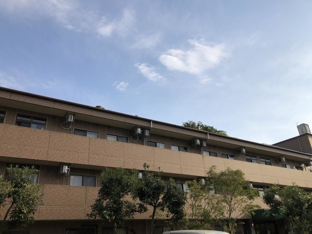 葉山の丘 雰囲気