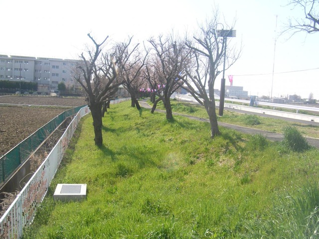 施設写真11