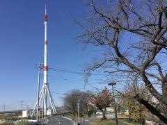 鴨川堤桜通り公園