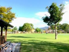 中央公園