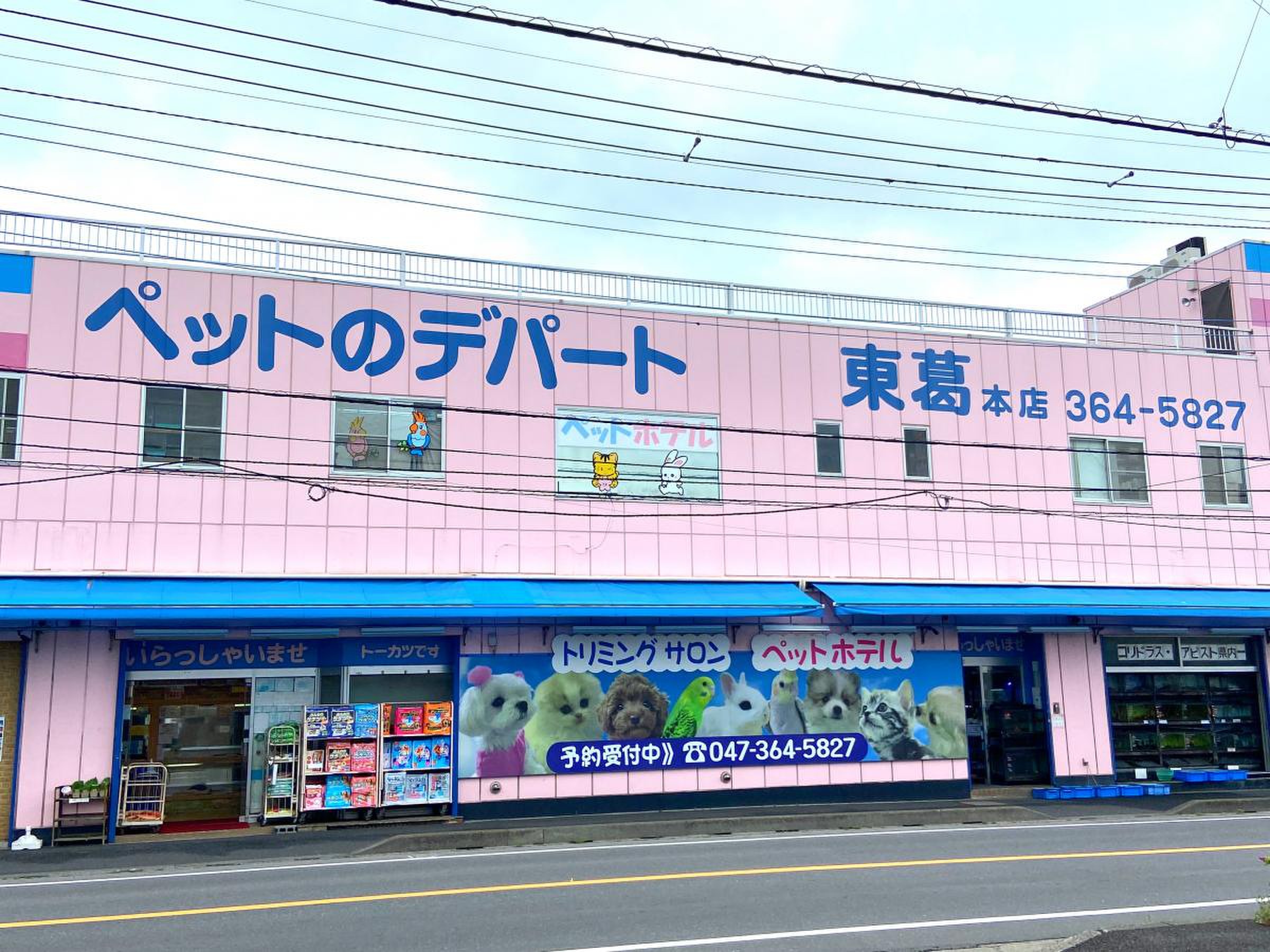 ペット の 東 葛
