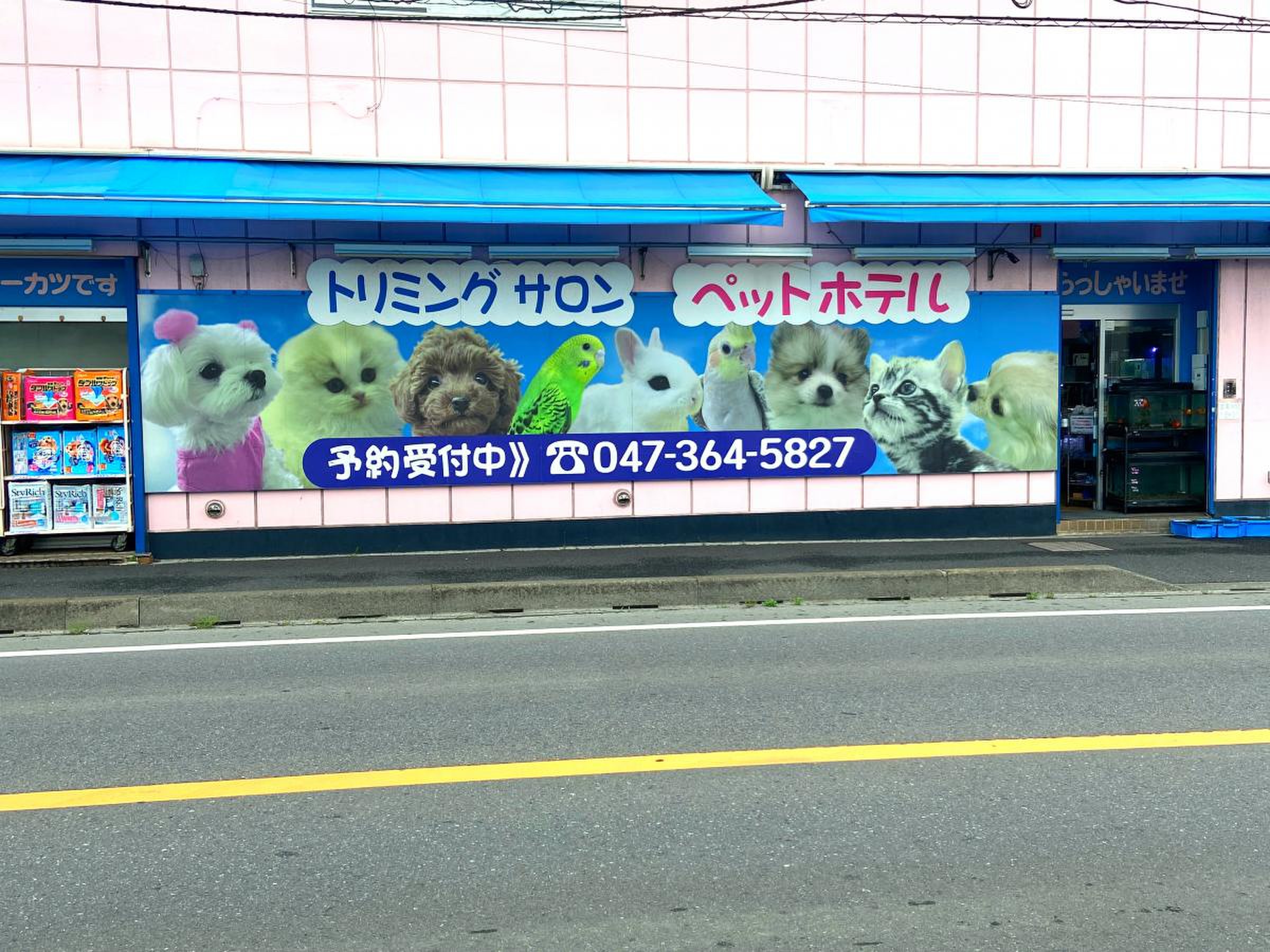 ペット の 東 葛