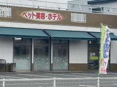 アコルくんのペットショップ久留米南店