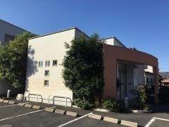 たまい内科