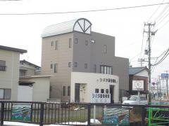 シバタ動物病院