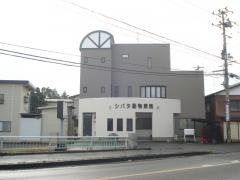 シバタ動物病院