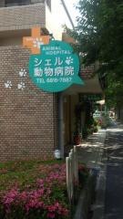 シェル動物病院