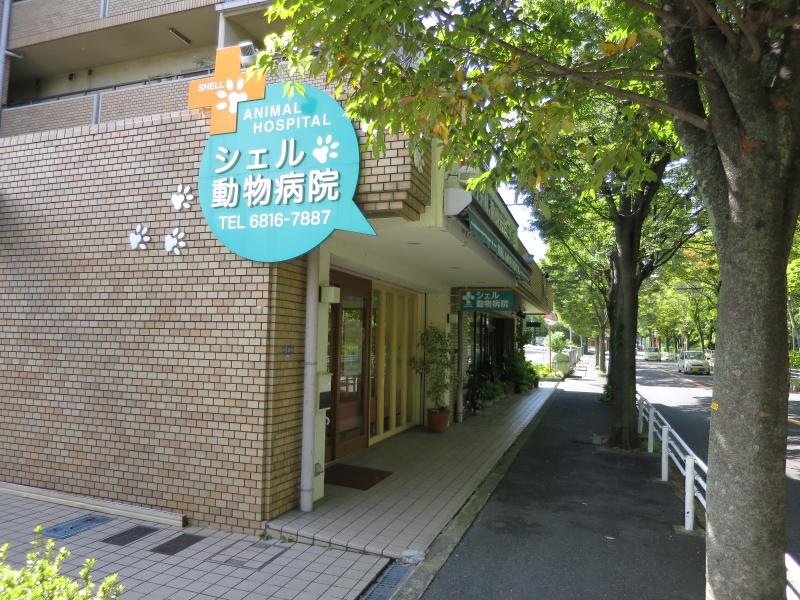 シェル動物病院