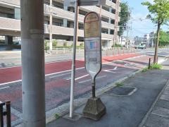 「野川小学校」バス停留所
