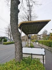 「葛城中学校前」バス停留所