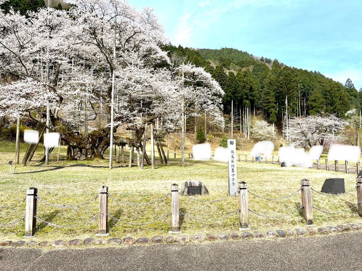 公園