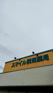 スマイル調剤薬局